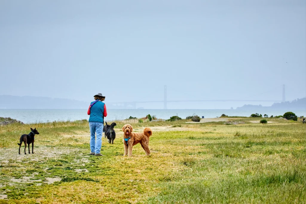 Point Isabel Dog Park with a view of the Golden Gate Bridge.