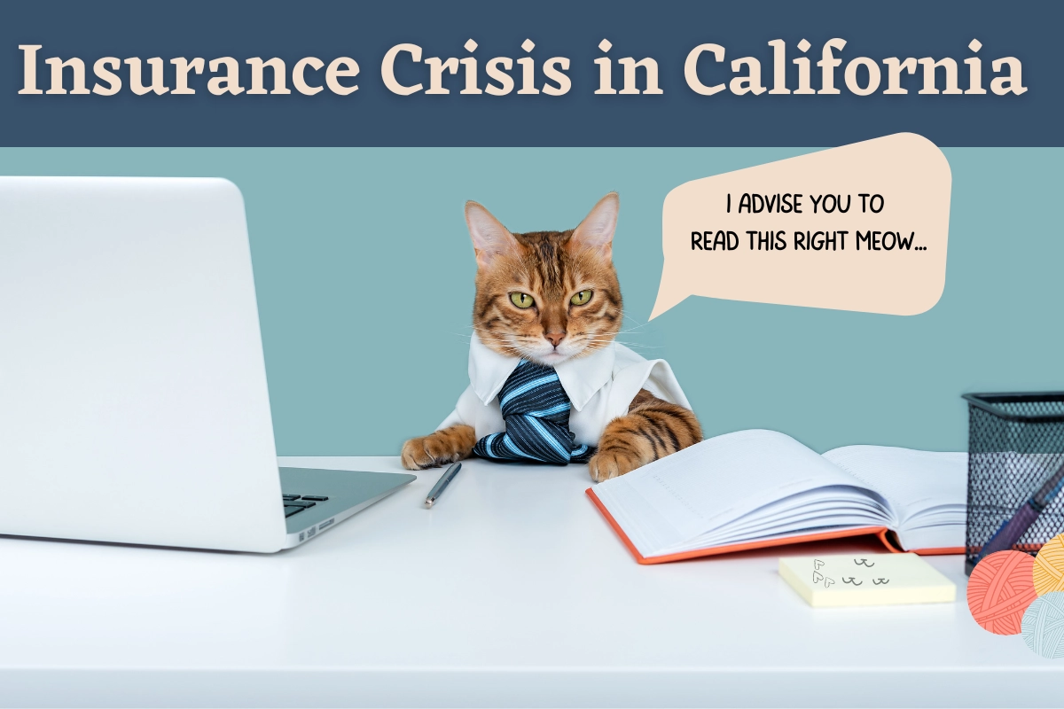 business cat working at his desk, advises us to read the article about the insurance crisis in California.