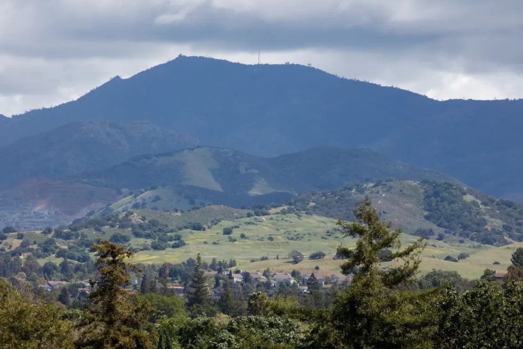 View of Mount Diablo in the spring, located in Concord, CA.