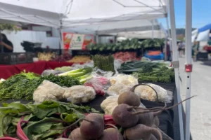 Kensington Farmers' Market vegetable array.